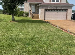 Mario F.'s grass cutting service result