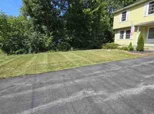 Nick V.'s turf care service result