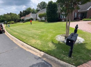 Roxanne B.'s grass maintenance service result