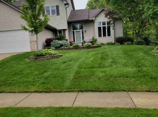 Harold B.'s grass cutting service result