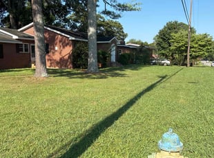 Christopher W.'s grass maintenance service result