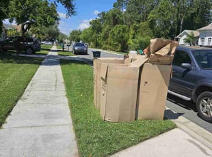 Adriana C.'s turf care service result