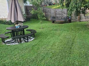 Latriece E.'s lawn care service result