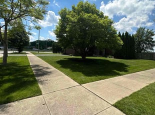 Susan S.'s lawn maintenance service result