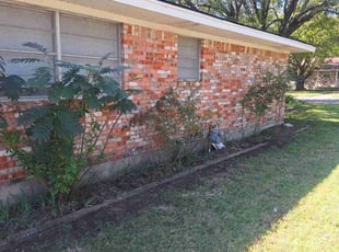 Ms H.'s lawn care service result