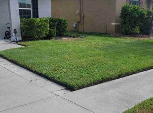Alberto R.'s lawn care services service result