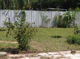Mary R.'s Bush Trimming service result