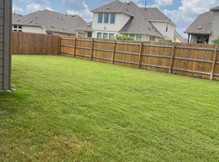 Derek N.'s turf maintenance service result