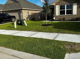 Robert D.'s lawn maintenance service result