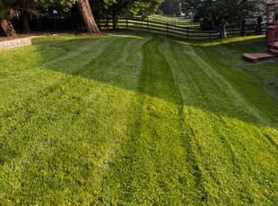 Judy B.'s lawn care service result