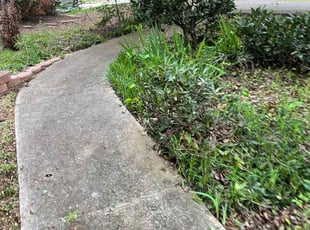 Sally S.'s Bush Trimming service result