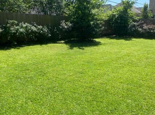 Wesley S.'s lawn service service result