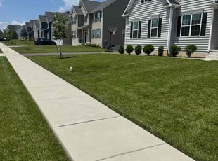 Joyce C.'s lawn care service result