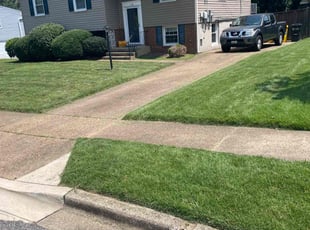Chad D.'s grass cutting service result