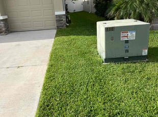 Anita S.'s lawn care services service result