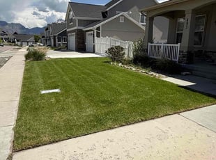 Ambey P.'s lawn maintenance service result