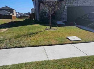 Tracey B.'s lawn care service result