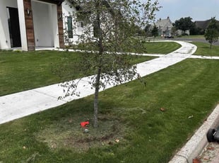 Jesus G.'s turf care service result