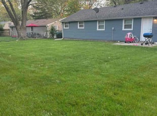 Theresa S.'s lawn care service result