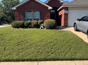 Ed M.'s lawn care services service result