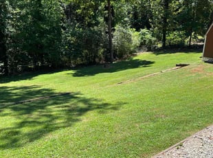 Heather W.'s lawn maintenance service result