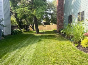 David B.'s lawn service service result