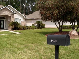 Angie H.'s turf maintenance service result