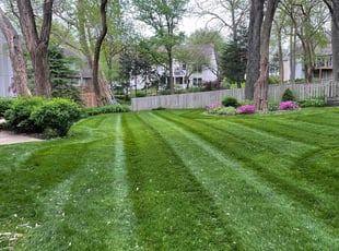Ginny E.'s lawn maintenance service result