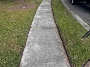 Michael P.'s lawn maintenance service result