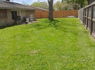 DAVE J.'s turf maintenance service result