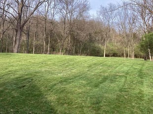James A.'s grass cutting service result