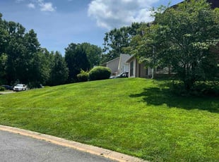 Suren G.'s grass maintenance service result