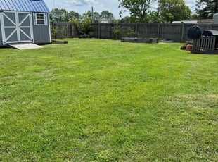 Shederick M.'s lawn service service result