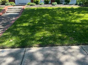Rianna K.'s grass cutting service result