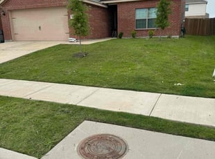 Deborah D.'s grass maintenance service result