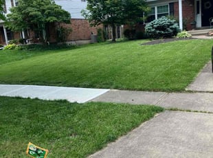 Mildred T.'s grass cutting service result