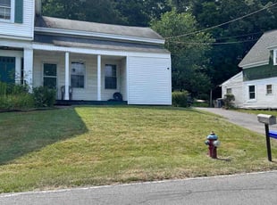 Lorraine S.'s grass maintenance service result