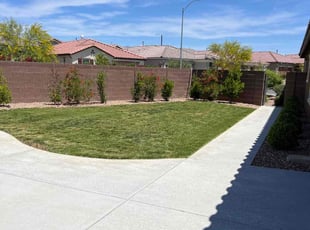 Kheira R.'s lawn maintenance service result