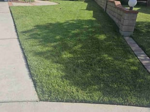 Debbie C.'s turf maintenance service result