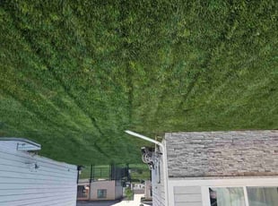George S.'s grass cutting service result