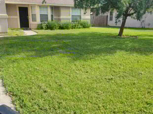 James T.'s turf maintenance service result
