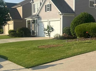 Eric H.'s turf care service result