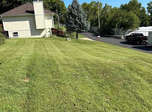 Josh A.'s lawn maintenance service result