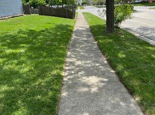 Bob D.'s turf care service result
