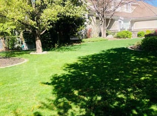 Stefon J.'s turf maintenance service result