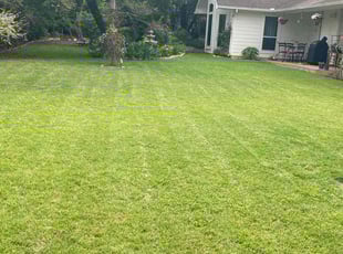 Tom H.'s lawn care services service result