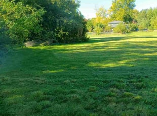 Russ G.'s lawn service service result