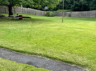 Carla T.'s lawn care services service result