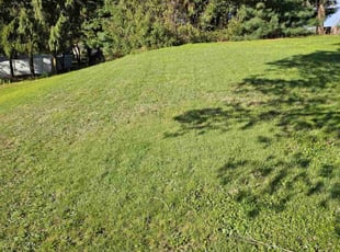 lan S.'s lawn service service result