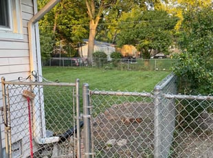 Jose C.'s grass cutting service result
